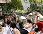 Bird Show